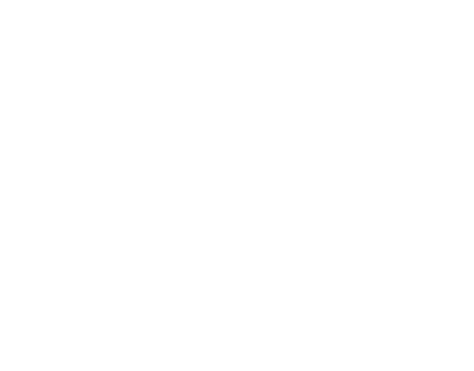 NEGOTIATOR